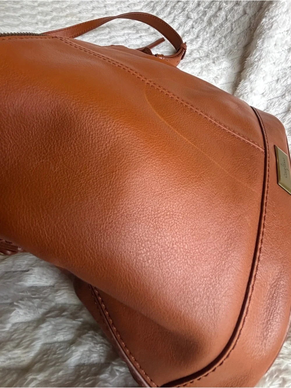Cole Haan Cognac Tan Smooth Leather Crossbody Hobo Bag Brass Hardware